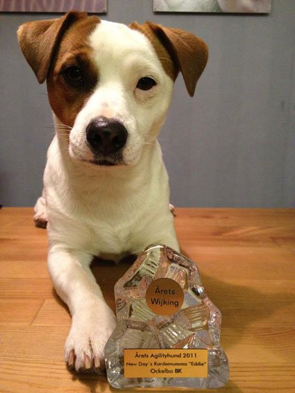 Eddie med priset årets agilityhund 2011